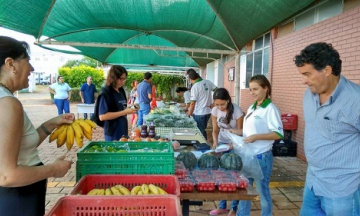 Feira de Orgânicos prossegue na Casa da Agricultura