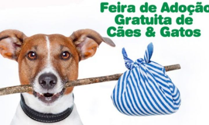 Amor de Quatro Patas promove Feirinha da Adoção