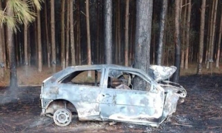 Motorista morre carbonizado após carro bater em árvore e pegar fogo