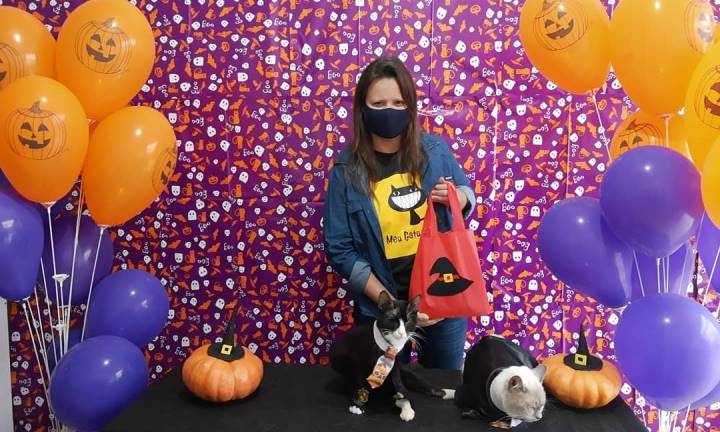 Halloween Meu Gato Favorito será no dia 31 de outubro, domingo