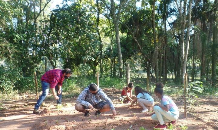 Projeto do Meio Ambiente cria horta orgânica no Horto Florestal