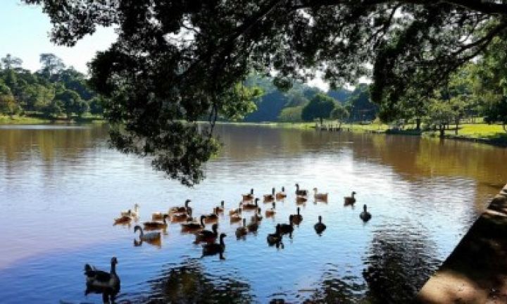 Cultura leva diversas atrações ao Horto Florestal