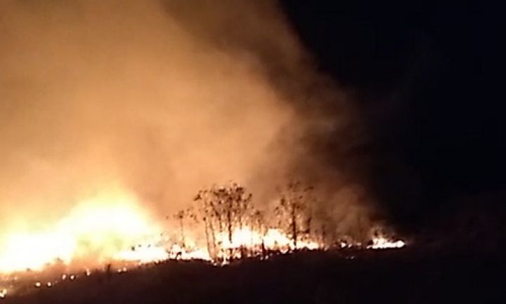 Incêndio atinge terreno particular em Avaré
