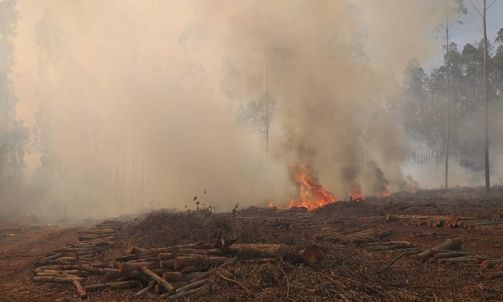 Incêndio consome grande área verde em Taquarituba 