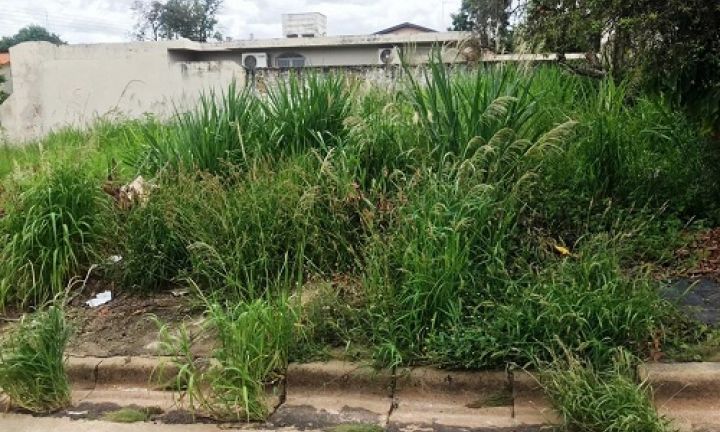 Terreno com mato alto e sem calçada pode gerar multa