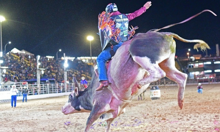 Lei em Avaré reconhece rodeios como patrimônio cultural e prática esportiva