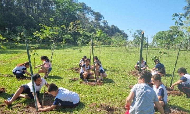 Dia da Árvore é comemorado com plantio de mudas no Horto Florestal