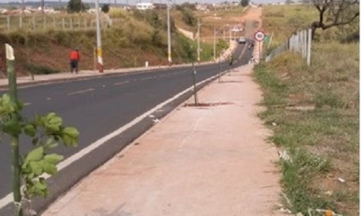Projeto cria corredor verde em avenida da Vila Jardim