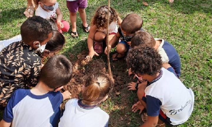 Dia da Árvore é celebrado com plantio de mudas em Avaré