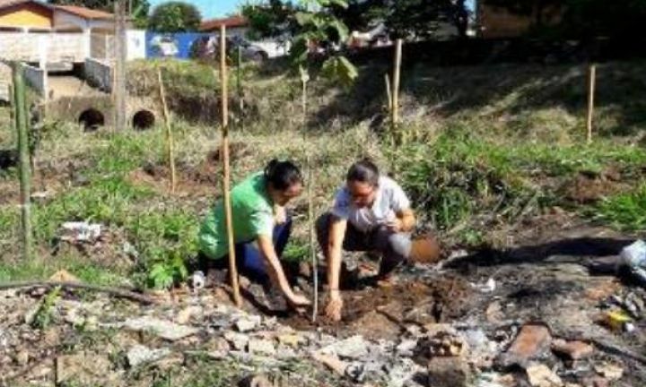 Córrego do Curtume recebe plantio de árvores em seu entorno