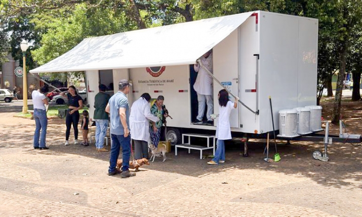 Vacinação antirrábica em Avaré chega a mais de 4,7 mil pets em 2025