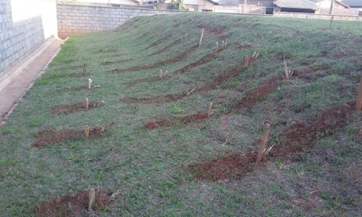 Parceria cria horta orgânica em unidade de ensino infantil