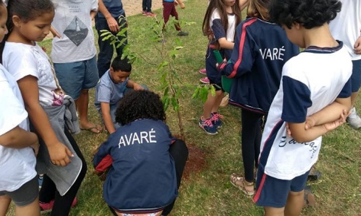 Alunos e moradores plantam mudas em praça no Bairro Alto