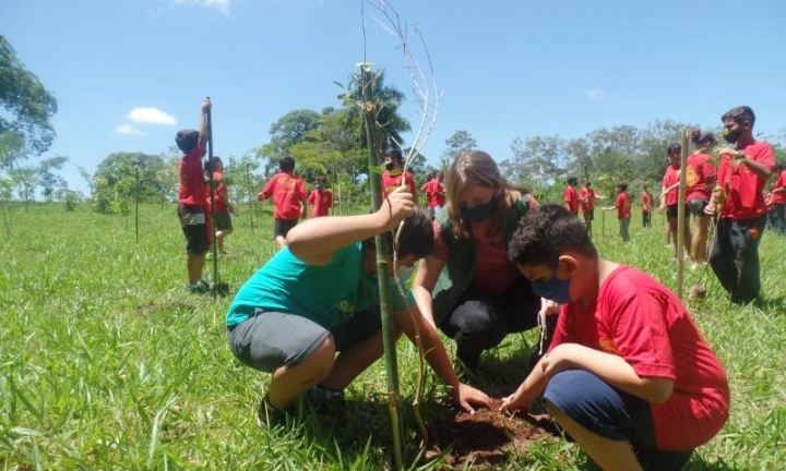 Alunos de projeto social participam do plantio de mudas nativas no Horto