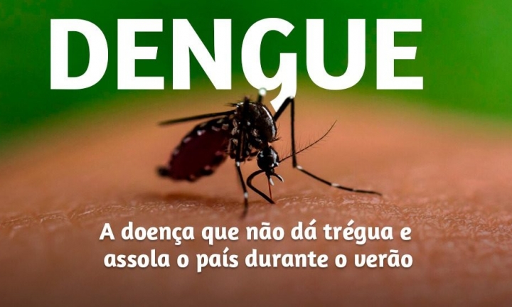 Avaré registrou 12 casos positivos de dengue desde o início do ano