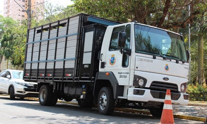 Prefeitura adapta caminhão para o resgate de animais