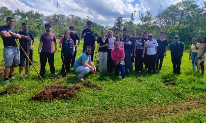 Avaré inicia projeto de arborização com participação de estudantes