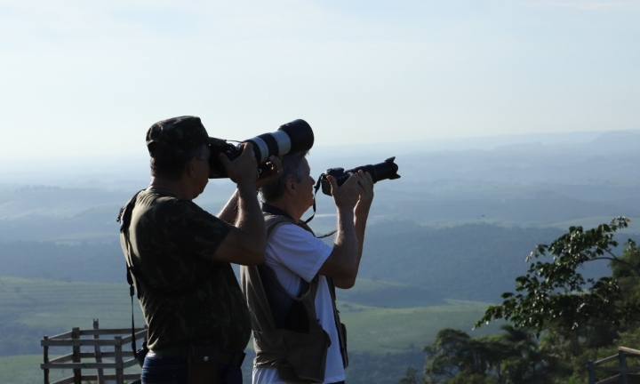 Botucatu realiza evento de observação de aves, domingo, na Pedra do Índio