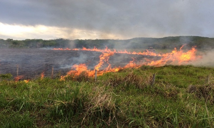 Secretaria alerta sobre riscos de incêndios em áreas rurais