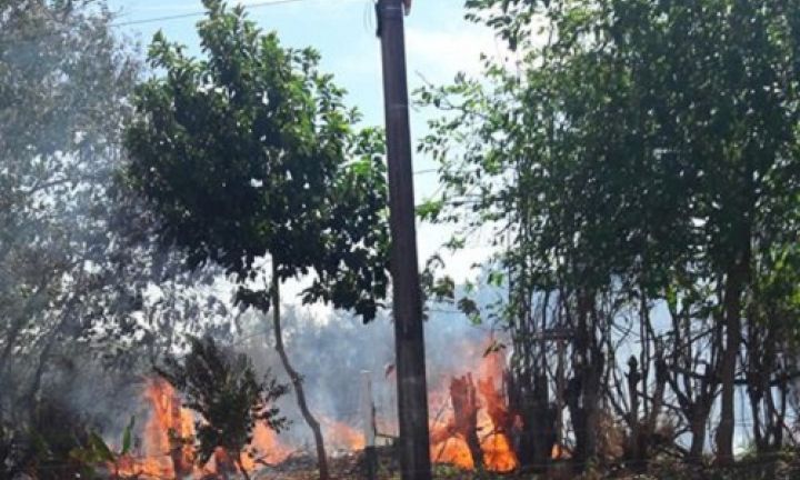 Bombeiros atendem mais de dez ocorrências de fogo em mato no domingo