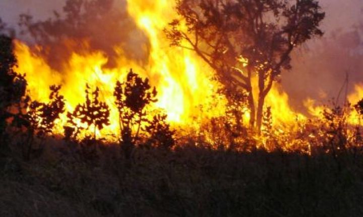 Bombeiros registram 26 queimadas em cinco dias