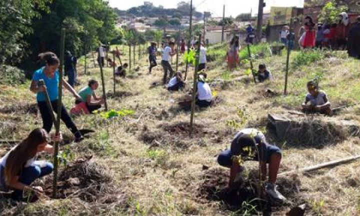 Alunos plantam mudas na Florestinha do Rebouças