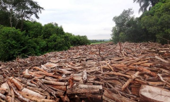 Rio Pardo volta a ser ameaçado por projeto de hidrelétrica