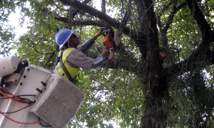 CPFL Santa Cruz faz alerta sobre riscos durante podas de árvores 