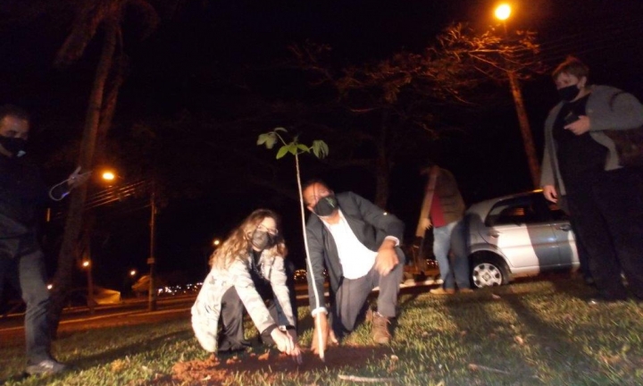Rotary Club de Avaré inicia Projeto para plantio de mil árvores