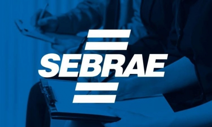 Sebrae capacita micro e pequenas indústrias para desafios de 2021