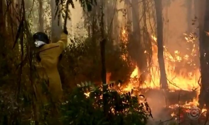 Incêndio atinge área de vegetação no horto florestal de Avaré