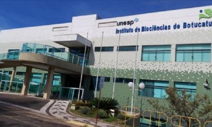 Unesp de Botucatu abre vaga de estágio na área administrativa