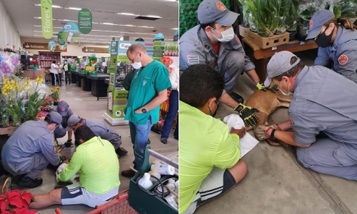 Veado invade supermercado em Avaré e depois foi devolvido à natureza