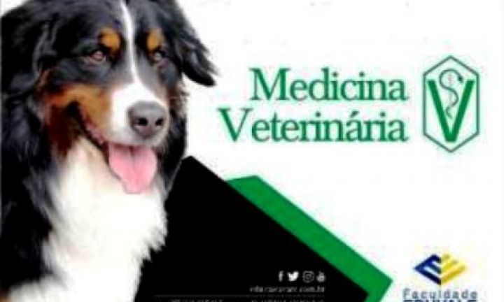 Eduvale anuncia novo curso: Medicina Veterinária