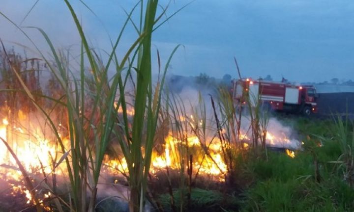 Fogo atinge plantação de cana e área de preservação em Cerqueira César