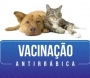 Jardim Paineiras tem vacinação contra raiva na quarta-feira, dia 16