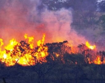 Número de denúncias de queimadas em terrenos aumenta em Avaré