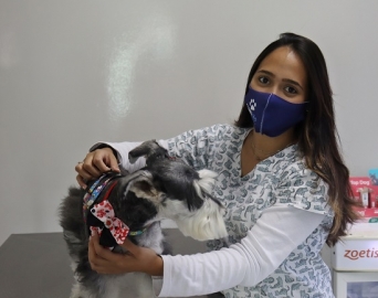 Mercado veterinário cresce e contrata estagiários da Faculdade Eduvale 