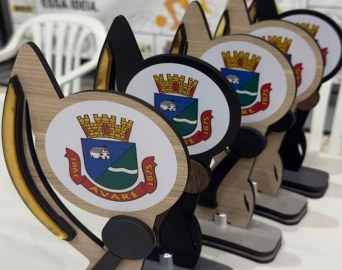 Campeonato Municipal de Futebol começa neste domingo, 29, no Sãopaulão