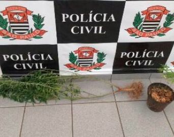 Cabeleireiro é preso por tráfico de drogas