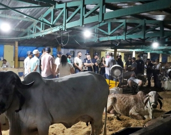 Alunos da Eduvale estagiam na 7ª Exposição Estadual do GIR Leiteiro