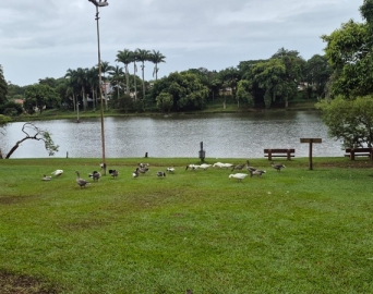 Corrida do Trabalhador acontece nesta sexta, 1º de maio, a partir das 8 horas