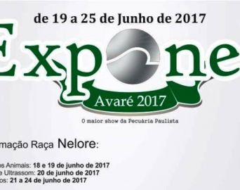 Avaré recebe a Exposição Internacional da Raça Nelore