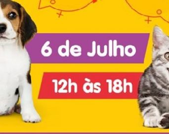 Dia 6 de julho tem Feira de Adoção de Pets em Avaré