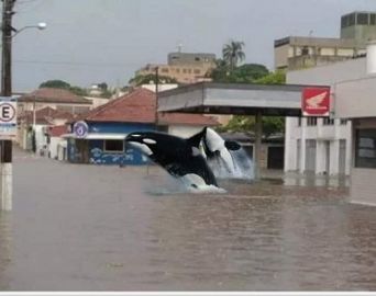 Problema das enchentes vira meme em Avaré