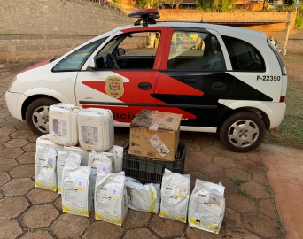 Polícia Civil apreende agrotóxicos abandonados em área rural de Arandu