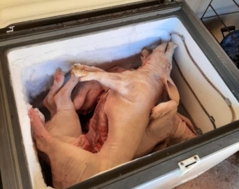 Tráfico de drogas e comércio ilegal de carne são alvos de operação da Polícia Civil