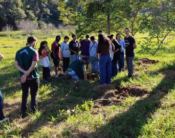 Alunos participam do plantio de mudas nativas no Horto Florestal