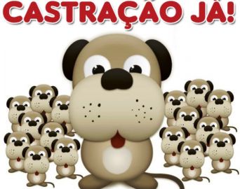 Audiência Pública discute castração de pequenos animais e posse responsável