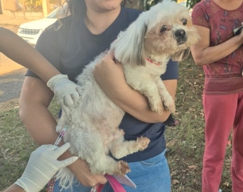 Bairro Bannwart tem vacinação contra a raiva nesta quarta-feira, 25/02